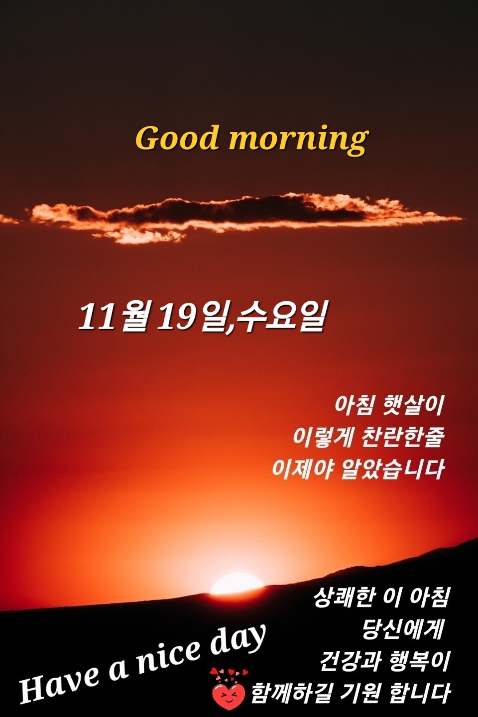 Daum 카페