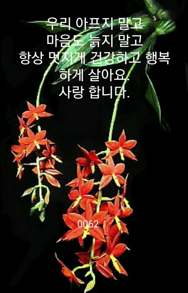 행복한 아침 이미지