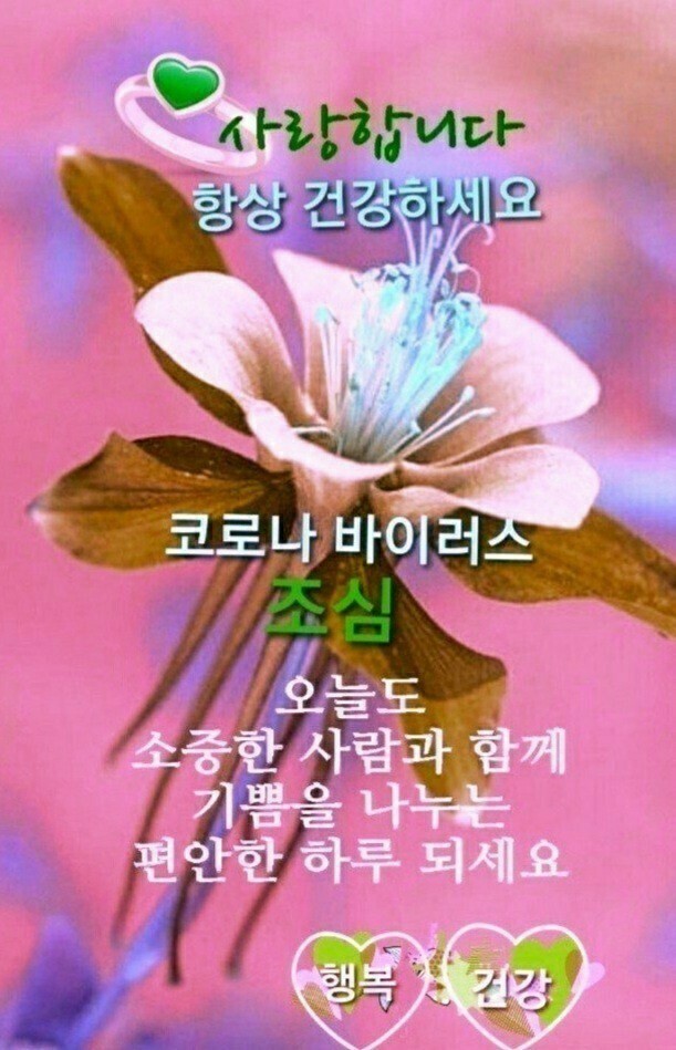 행복한아침 이미지