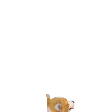 오늘도예쁘게 이미지