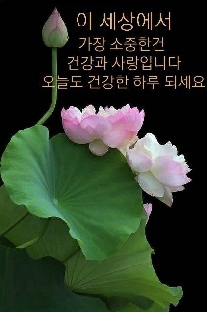 멋진하루 이미지