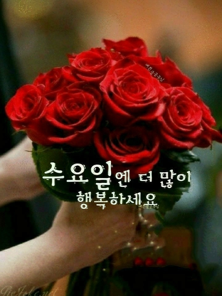 Daum 카페