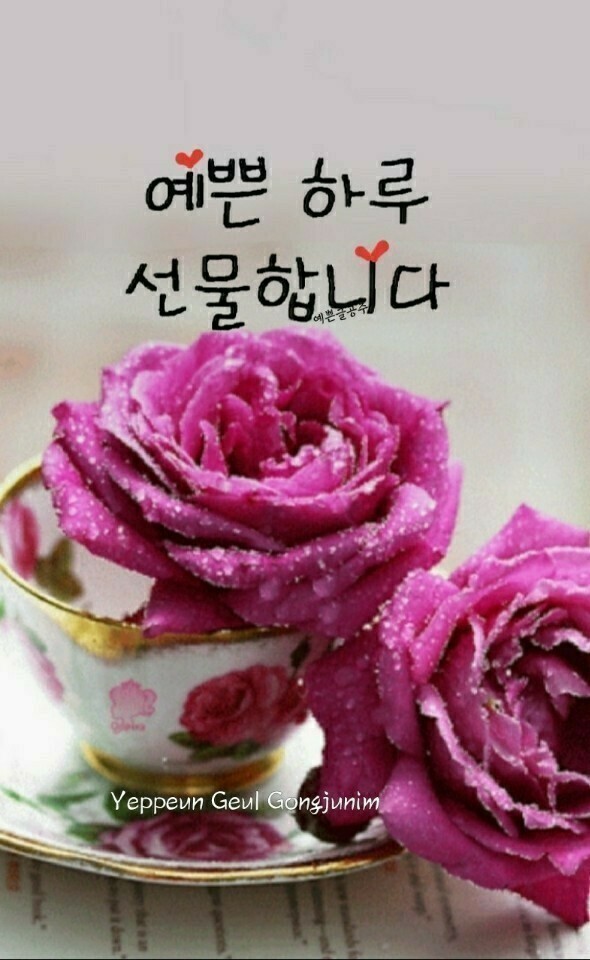 예쁜하루 이미지