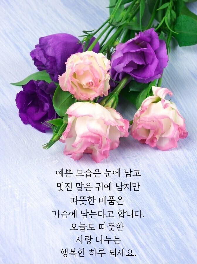 참사랑세탁소 이미지