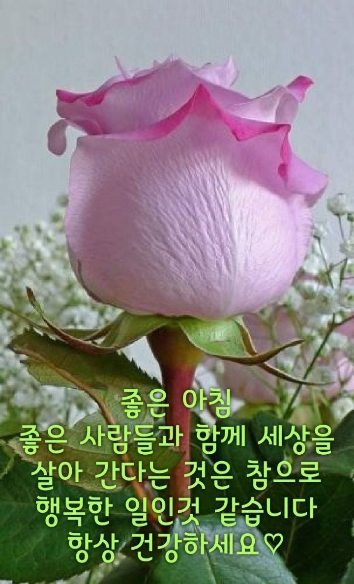 멋진하루 이미지