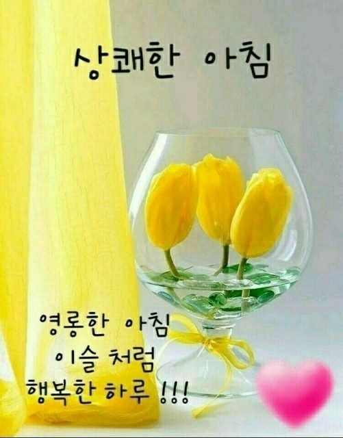 굿모닝 좋은 아침입니다 - ─‥‥최고의이미지 - 인생은추억여행 굿모닝 좋은 아침입니다