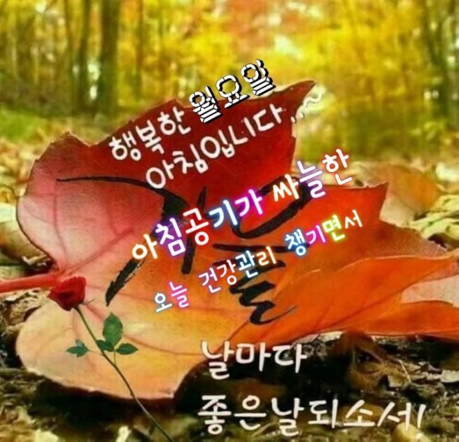 새로이 이미지
