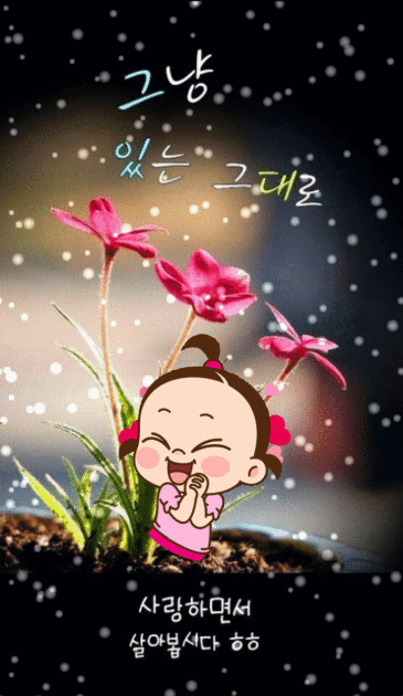 솔우 이미지