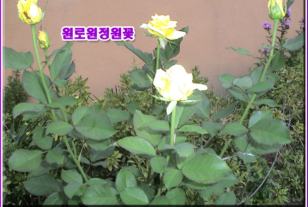 부만(주) 이미지