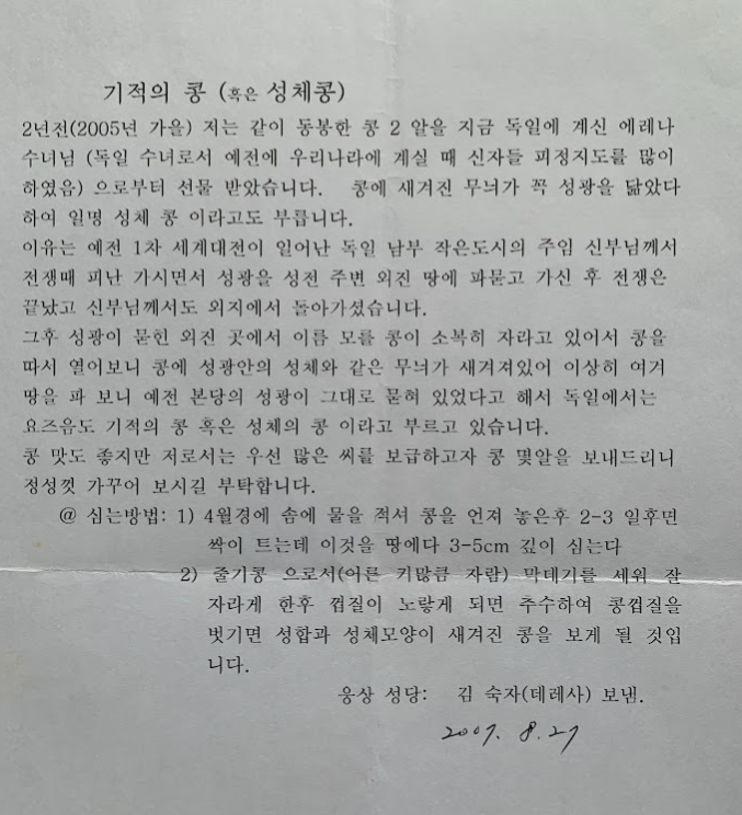 콩이야기 이미지