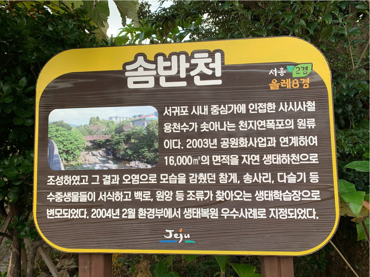솜반 이미지