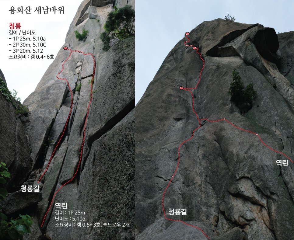 새남 이미지