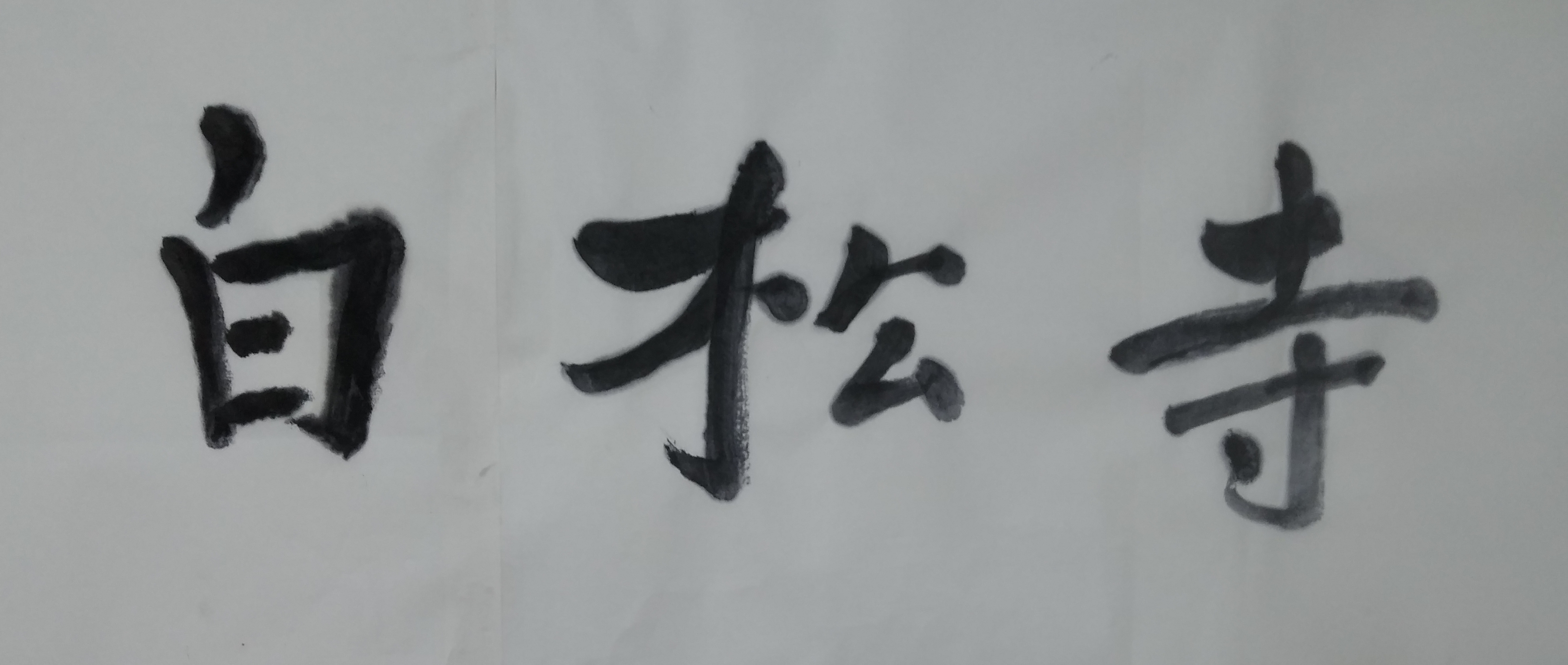 백송전기 이미지