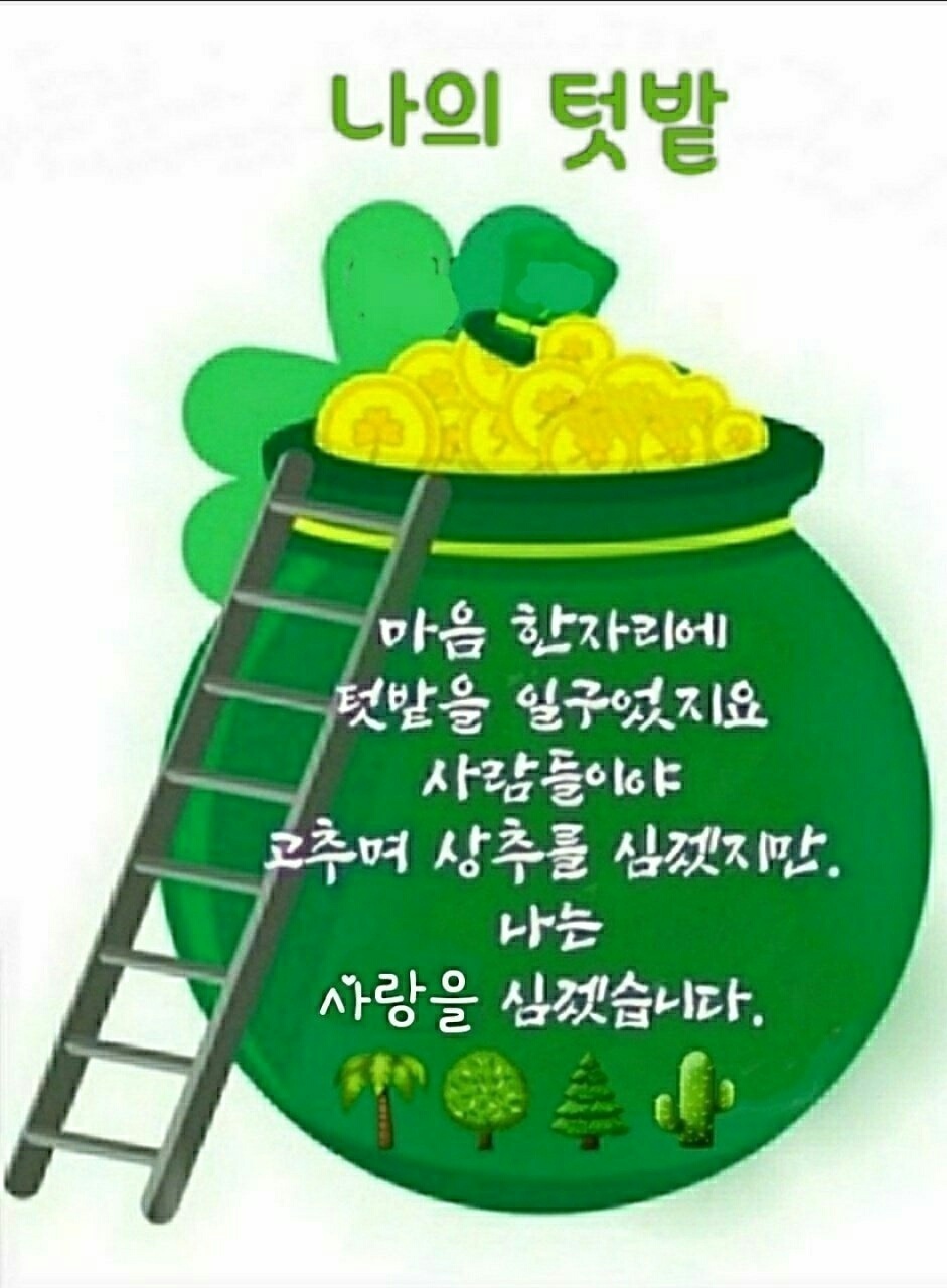 마음의꽃 이미지