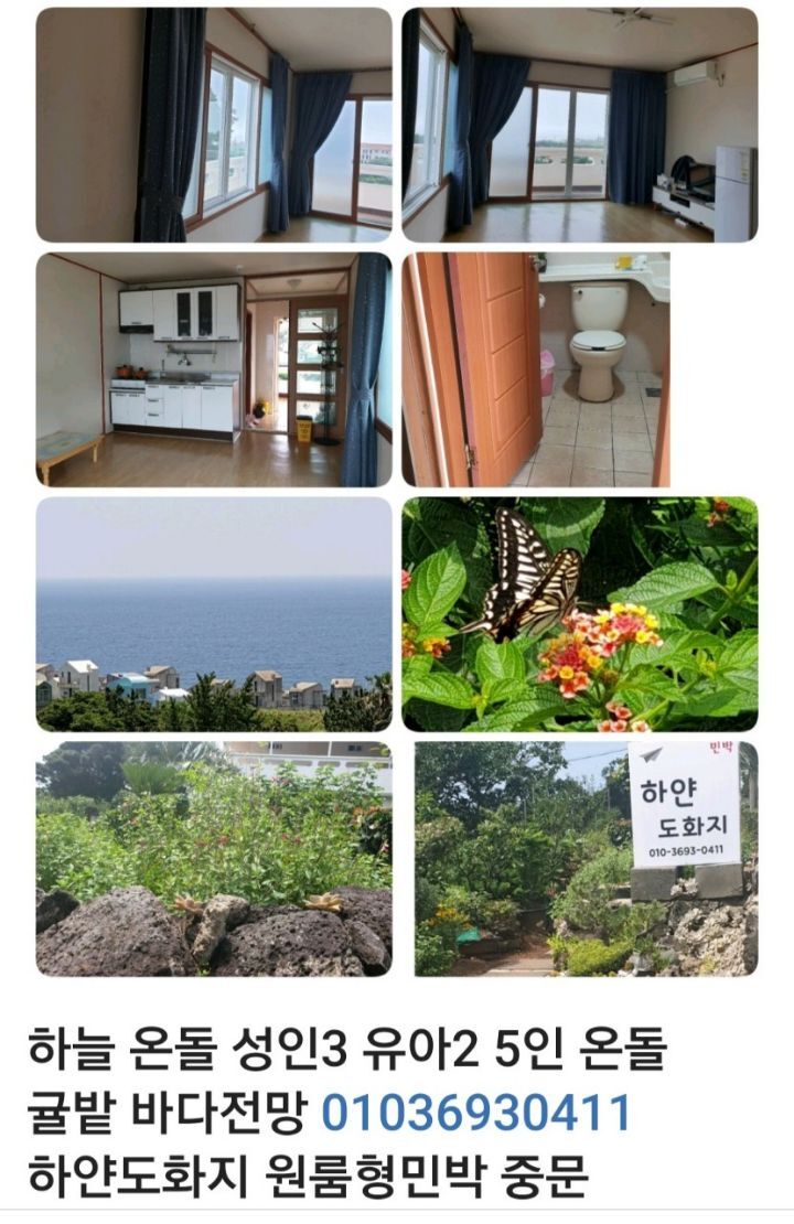 정원이이쁜집 하얀도화지 원룸형숙소 - .......... 텃밭나무꽃들 - 제주도여행 하얀도화지민박 제주서귀포 오션뷰 정원이이쁜집 하얀도화지 원룸형숙소