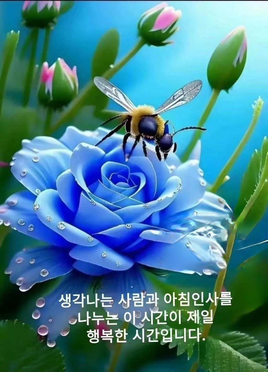 청암 이미지