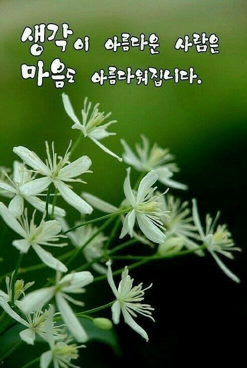 아름다운사람들 이미지