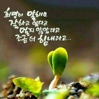 게스트 이미지