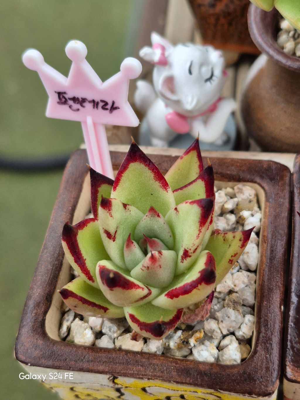 육이 이미지