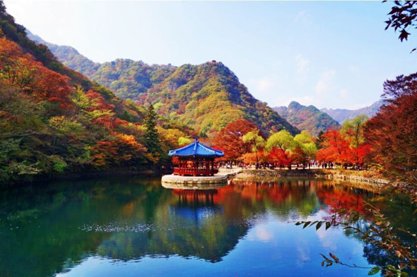 [단풍산행]11월8일/내장산(763m)-백암산((741m) 종주/정읍, 장성/조기출발 - ▣♣-- 화요산행 계획 - 느림보 산악회 느림보 산악회