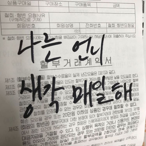 미몽 이미지