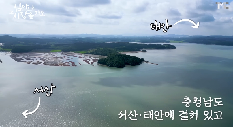 백종원 유튜브 순기능 | 인스티즈