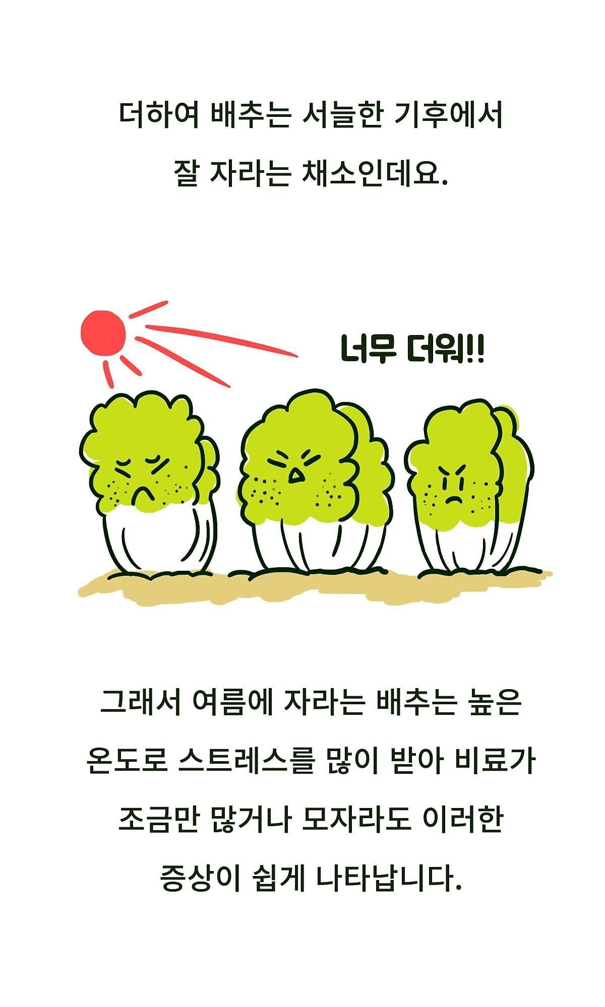 의외로 못먹는 사람이 꽤 많은 김치 | 인스티즈