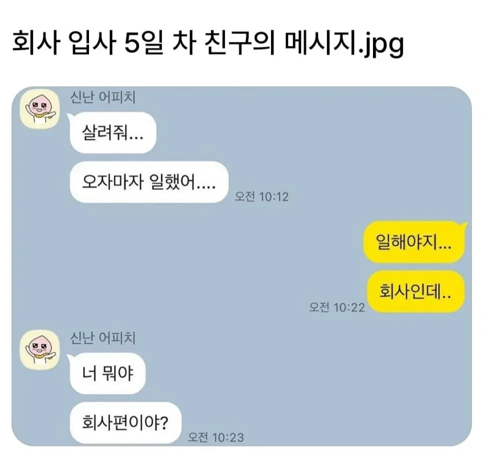 회사 입사 5일차 친구의 카톡 | 인스티즈