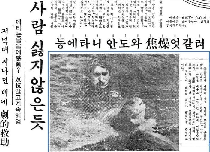 거북이 이미지