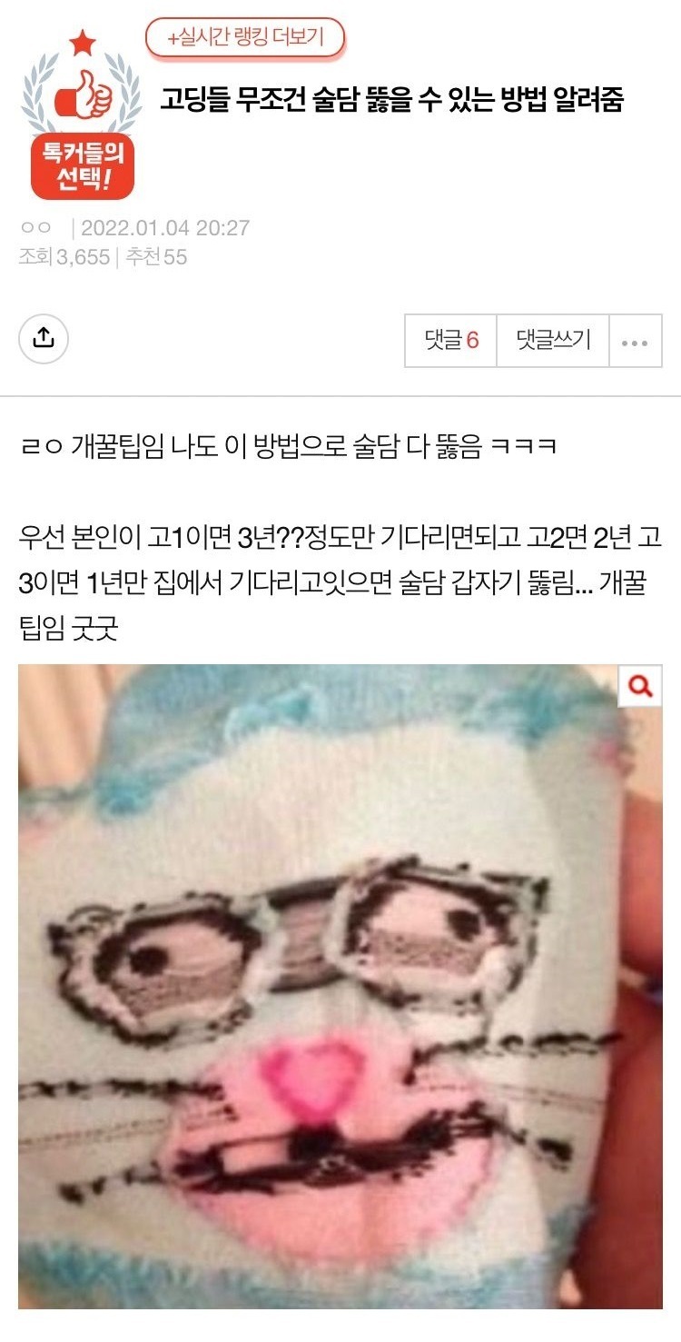 술담 이미지