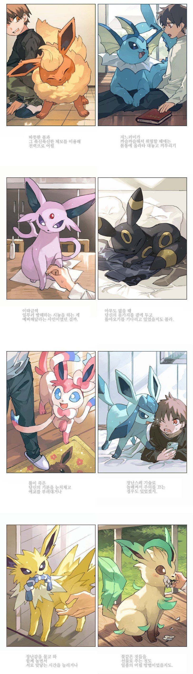 이브이 진화체들 특징 | 인스티즈