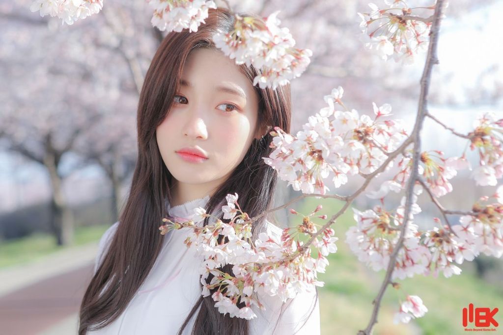 봄마다 꺼내보는 인간 벚꽃 정채연 | 인스티즈