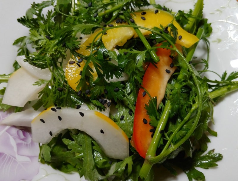 고수샐러드 | 인스티즈