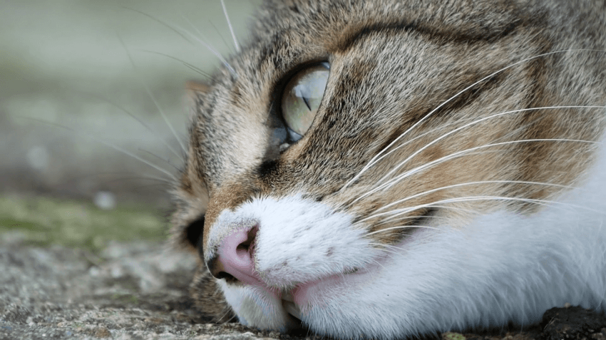 [hahaha] 양어장 일짱 하연님 | 인스티즈