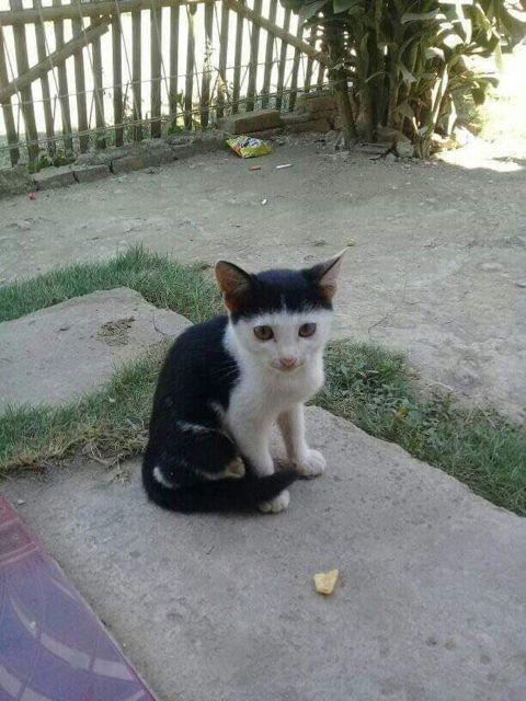 언니..나 미용실에서 앞머리 다듬었는데..어때? | 인스티즈