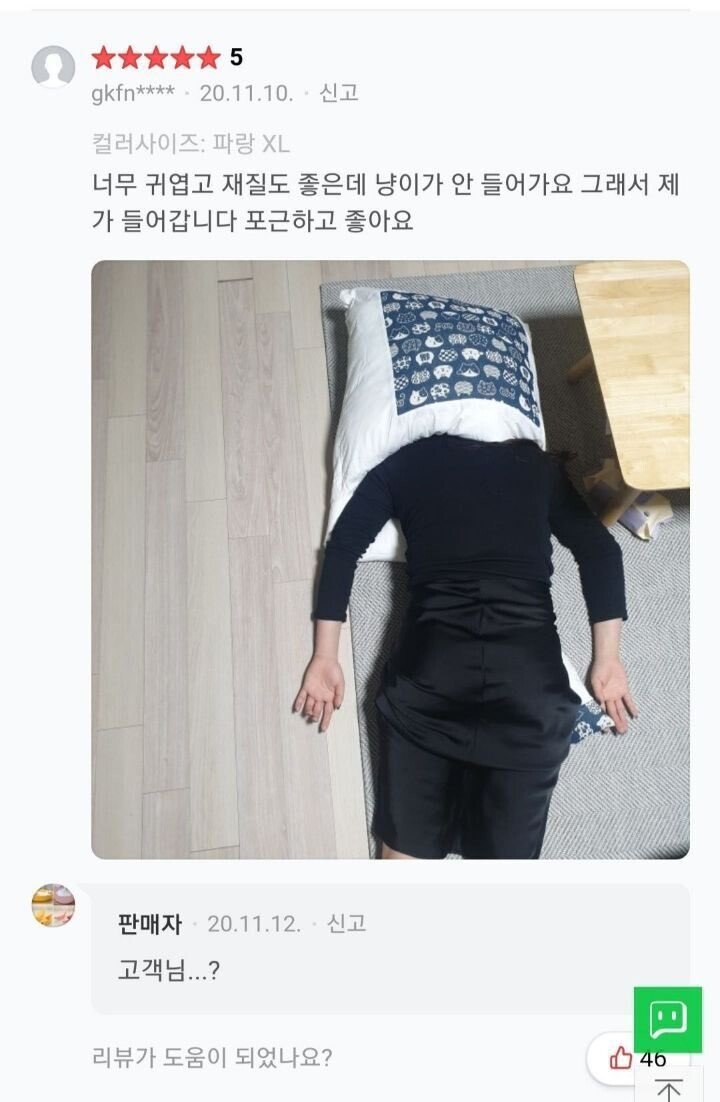 짱 귀여운 고양이 이불구매 후기 | 인스티즈