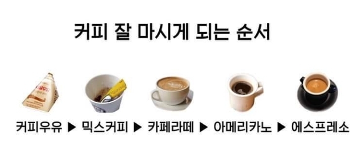 커피 잘 마시게 되는 순서 | 인스티즈