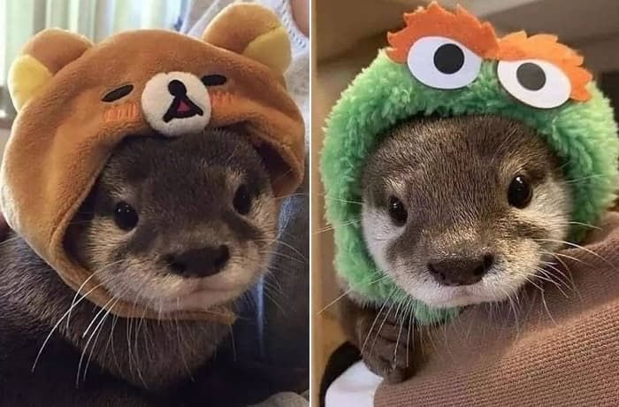 (주)수요일 이미지