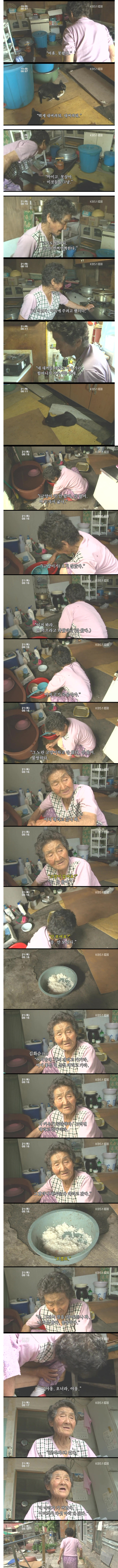 [인간극장] 갑자기 들어온 길고양이와 할머니.jpg | 인스티즈