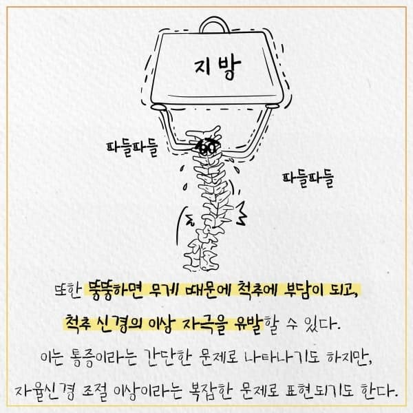 비만은 추위를 덜 탈까? | 인스티즈