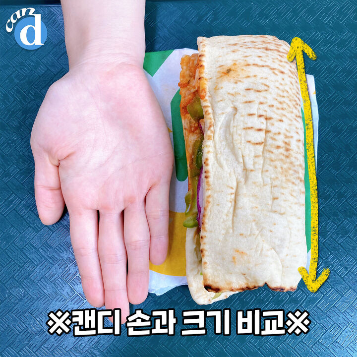 왜 키차이 15cm는 졸라 큰데 서브웨이 15cm는 짝은거야 | 인스티즈