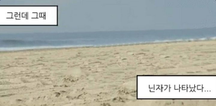 비대면수업에서 주목받는 배경 공유 | 인스티즈