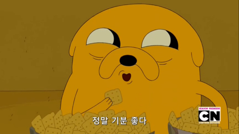 아늑한 공간에 낑겨있는 걸 좋아하는 사람들 | 인스티즈