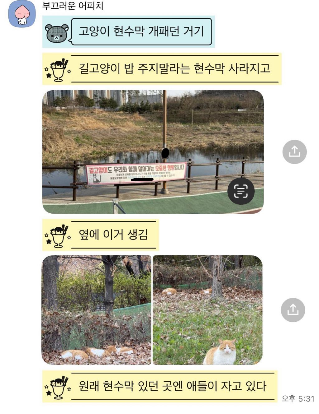 이 고양이 한글 읽을 줄 아나봐 현수막 개패는중 | 인스티즈