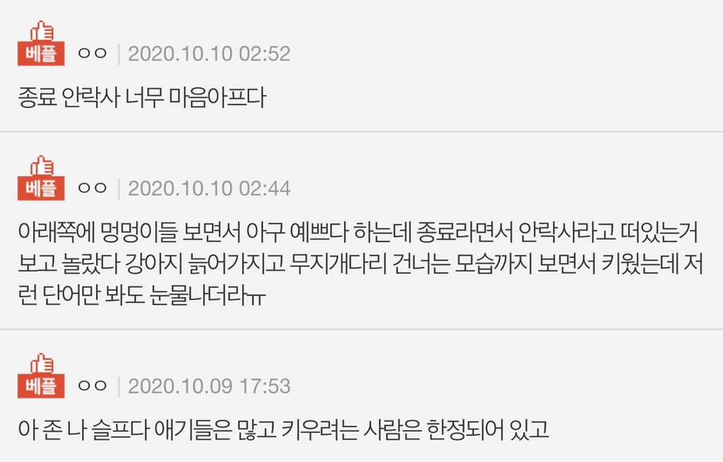 보호소에도 애기 많아 | 인스티즈