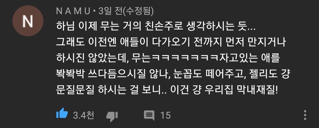 [hahaha] 냥이들 중에서 유독 봑봑봑 쓰다듬 당하는 냥이..jpgif | 인스티즈