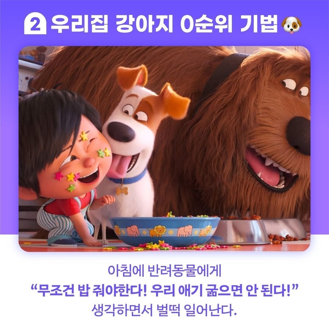 아침에 무조건 일어나는 방법 5가지 | 인스티즈