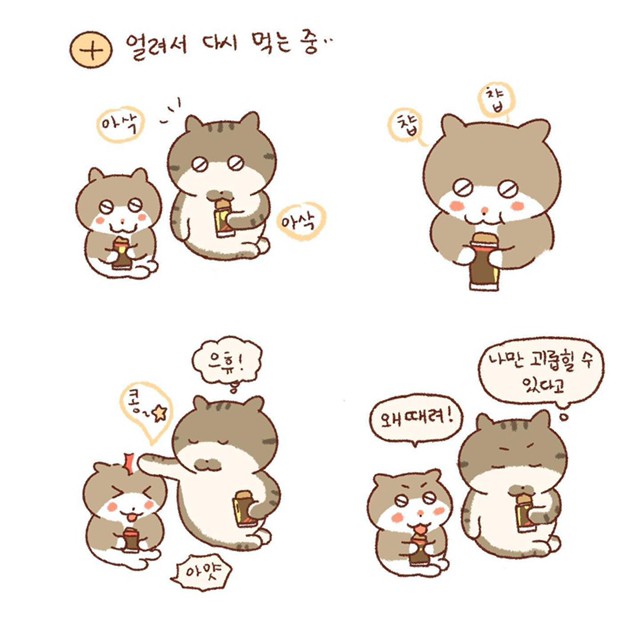 내 동생은 나만 괴롭힐 수 있어 | 인스티즈