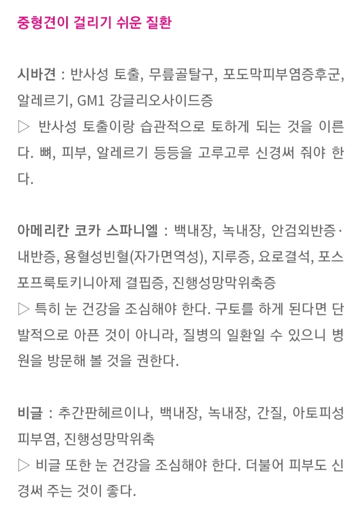 품종묘 보다 품종견에 관대한 사람들.jpg | 인스티즈