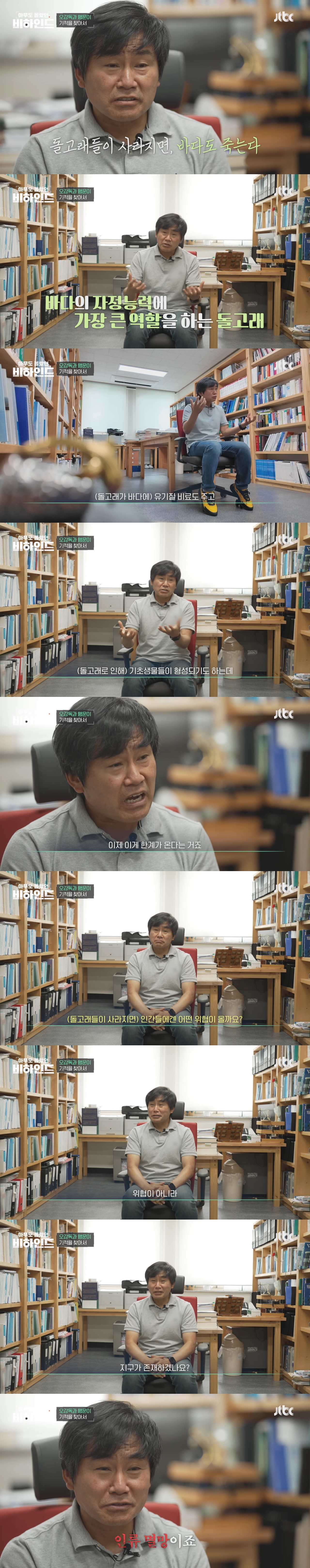 인간이 버린 쓰레기에 걸려 고통 받는 돌고래들을 따라다니는 돌고래 아빠 | 인스티즈